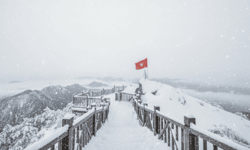 Snowfall creates a stunning and mysterious landscape